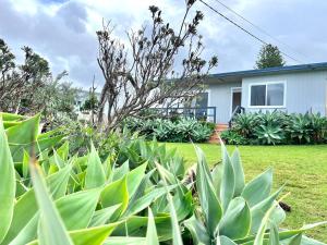 C est La Vie coastal cottage views to the ocean - 4hvězdičkové hotely ve městě Manyana
