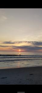 Avistamiento Fauna Flora Caribe