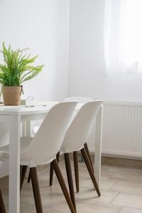 75m2 Designer Apartment close to Bregenz