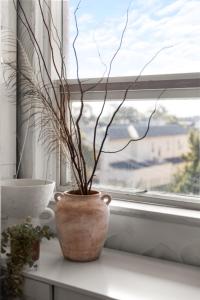 Ivys at Glenelg Central - A Cosy Family Stay