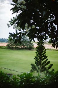 The Palm Nest Cam Ranh Private Pool Villa