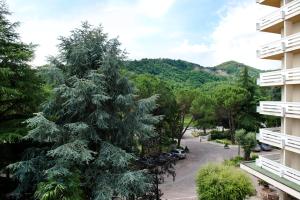 Single Room with Balcony room in Hotel Apollo Terme