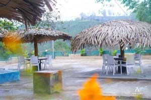 Zentara Ella by Silk Five