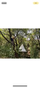 La Maison de Joy dans le Parc des Elfes