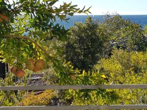 Apartment in Dolac near the Sea