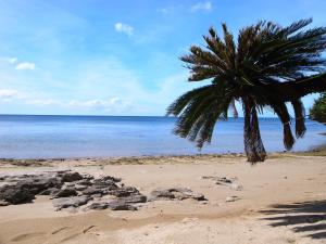 Ishigaki - House Vacation STAY 14463