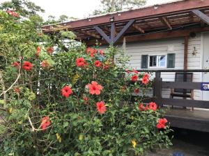 Kunigami-gun - Cottage Vacation STAY 22642