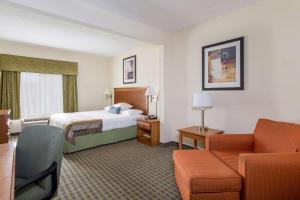 King Room - Disability Access/Non-Smoking room in Wingate by Wyndham Atlanta Fairburn