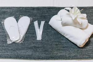 Karasuma Annex Vacation STAY 4405