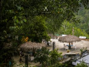 Zentara Ella by Silk Five