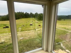 Apartment on a farm with lake view
