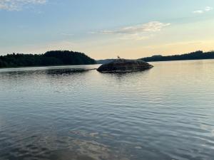 Apartment on a farm with lake view