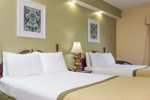 Double Room with Two Double Beds - Non-Smoking room in Baymont by Wyndham Lakeland