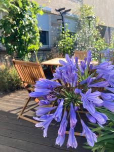 Ferienwohnung Sonja am Weinberg