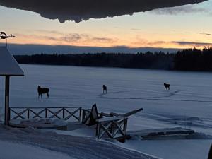 The paradise by the beach