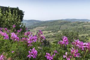 Agriturismo Borgo Spagnoli