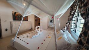 RiccArDella House Rafiki Tamu