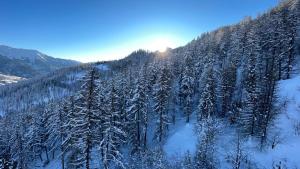 Maisons de vacances Hebergement 4 etoiles Acces Pied des Pistes en Navette Gratuite : photos des chambres