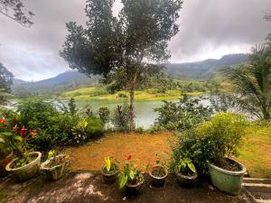 hotel Green lake castlereagh