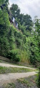 Gîte "Le Pacifique"