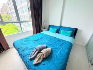 Studio Room with Pool View at dCondo Sign Chiang Mai