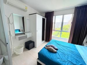 Studio Room with Pool View at dCondo Sign Chiang Mai
