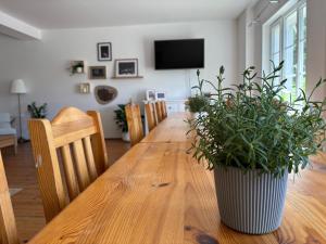 Dom w Puszczy Noteckiej