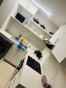 Apartment 231 The Millennial