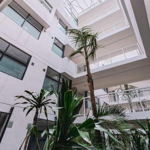 Apartment 231 The Millennial