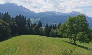 Urlaub wie früher bei Oma - Alte Schule