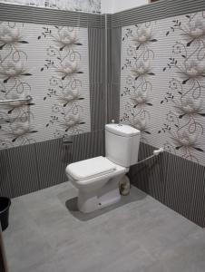 Freedom Cottage & Safari