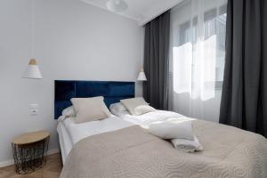 Tasteful Apartment Near Centennial Hall by Noclegi Renters