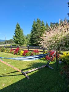 Domki nad jeziorem czorsztyńskim