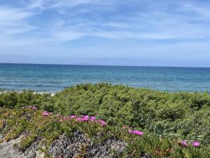 Beach Escape - 100m to the Sea - AC - Fast WiFi