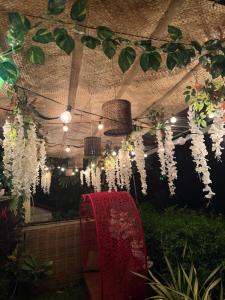 Socorros nature place