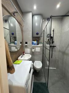 Apartament Vikicentrum