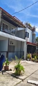 Z and j Transient House