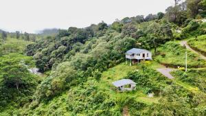 Willostays Amburan hills cabin with mountain waterfalls views