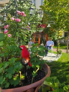 Yassen Holiday Village