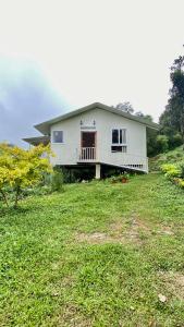Willostays Amburan hills cabin with mountain waterfalls views
