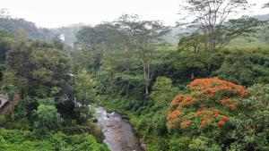 Willostays Amburan hills cabin with mountain waterfalls views