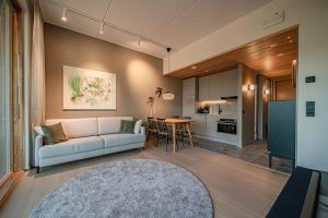 Arctic Luxury Gielas B3 Ski-in Ski-out by Aavalevi