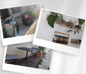 Le Bangorcoon Duplex Véro