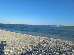 Maisons de vacances Les Oliviers de la Baie gite- Le Relais de la Baie : photos des chambres