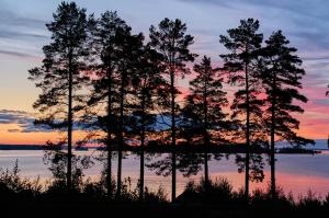 Architect-Designed Cabin In Söderhamn Archipelago