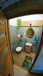 Studio z widokiem na park