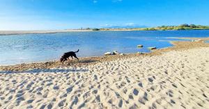Le Barcarès gîte climatisé 2 chambres pour 6 personnes CARLIT, à 10 mns à pied de la plage
