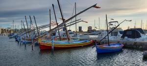 Le Barcarès gîte climatisé 2 chambres pour 6 personnes CARLIT, à 10 mns à pied de la plage
