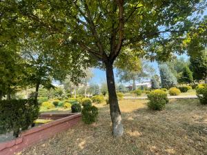 Green Escape Apartment Tirana