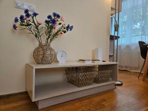 Bright Central Studio, Free Parking, Ltd Avail